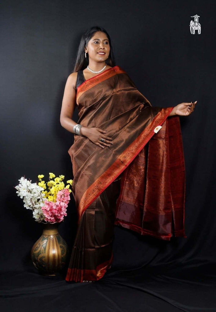 Brown Pashmina Silk Saree