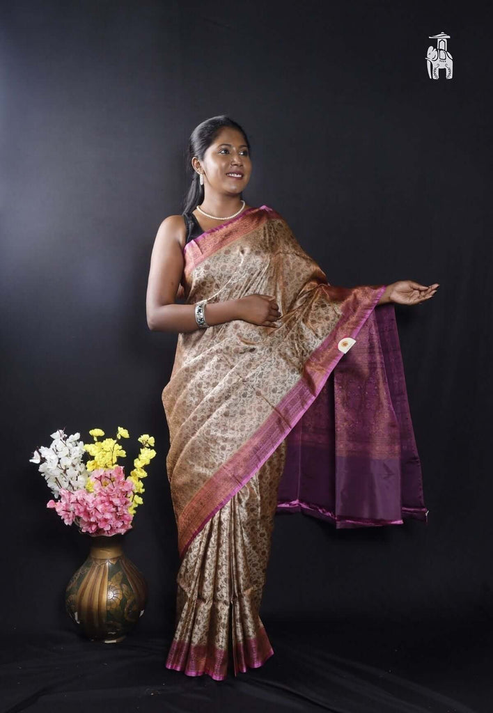 Light Grey Pashmina Silk Saree